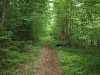 Truck trail on toward High Rock